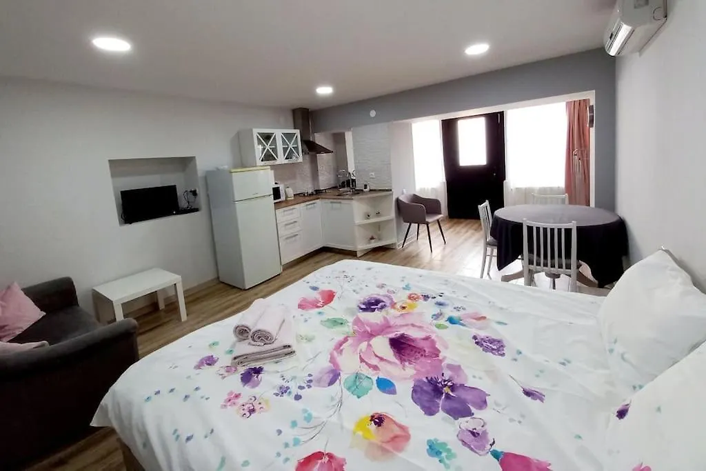 Cozy Studio Apartment On Rustaveli Τυφλίδα