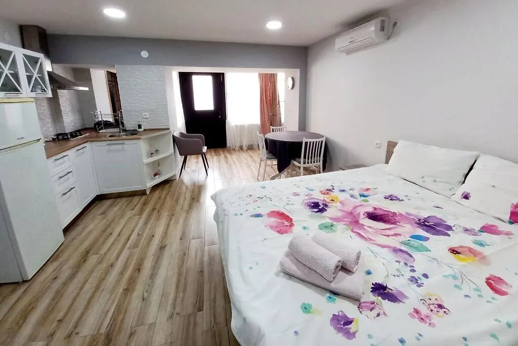 Cozy Studio Apartment On Rustaveli Τυφλίδα